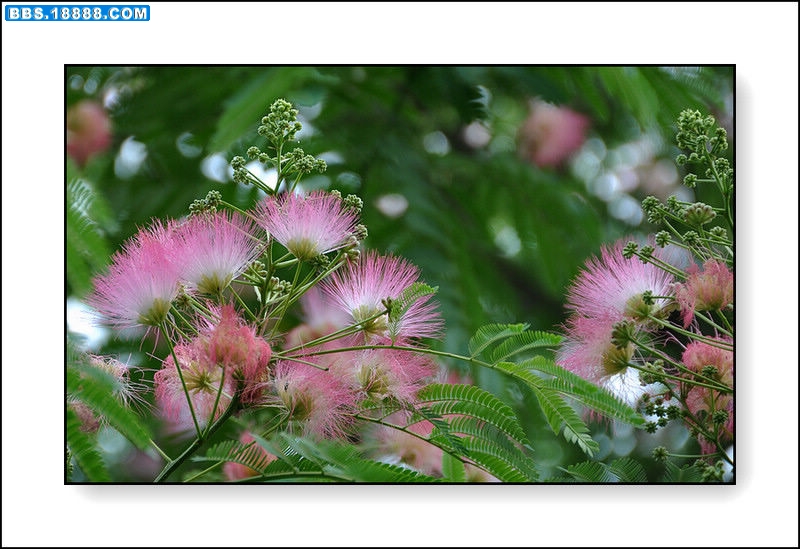 2011.6.3 168.jpg