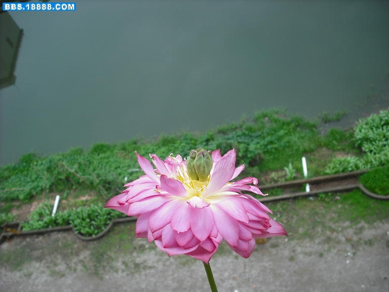 DSCF2395.JPG