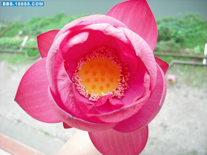 DSCF2392.JPG