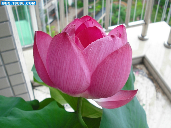 DSCF2378.JPG