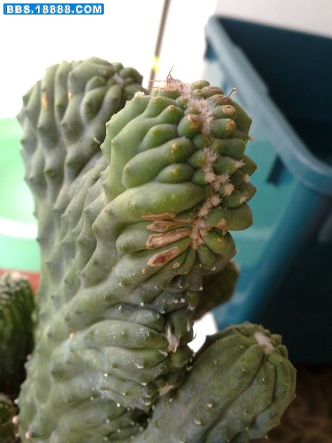 照片 054.jpg