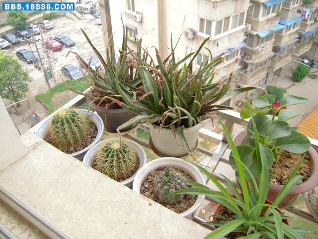 DSCN1623.JPG