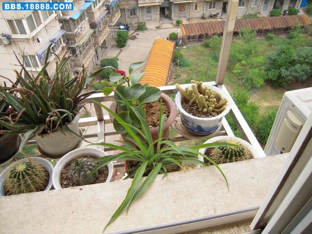 DSCN1622.JPG