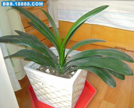 DSCN1630.JPG