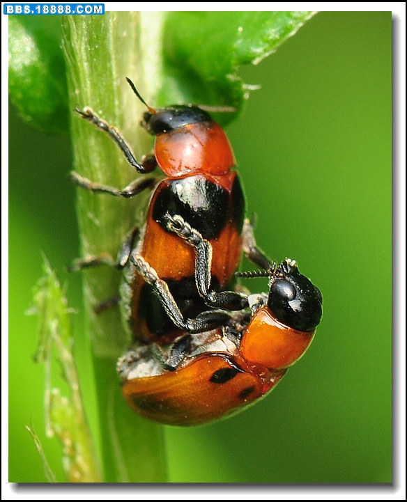 2011.6.26 057.jpg
