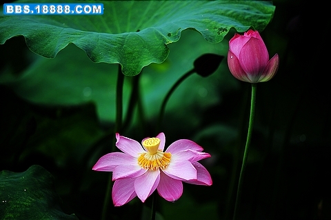 nEO_IMG_DSC_3101.jpg