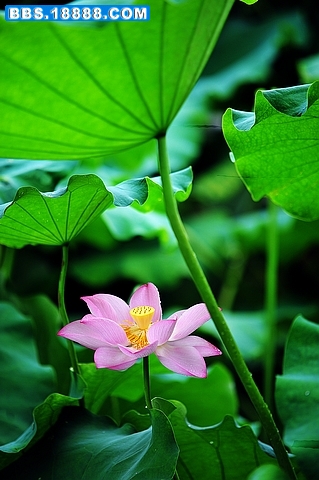 nEO_IMG_DSC_3091.jpg