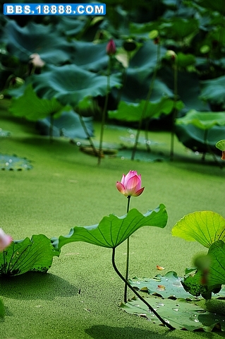 nEO_IMG_DSC_3083.jpg