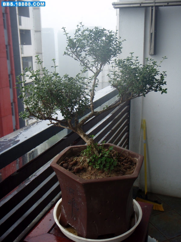 P1010029.JPG