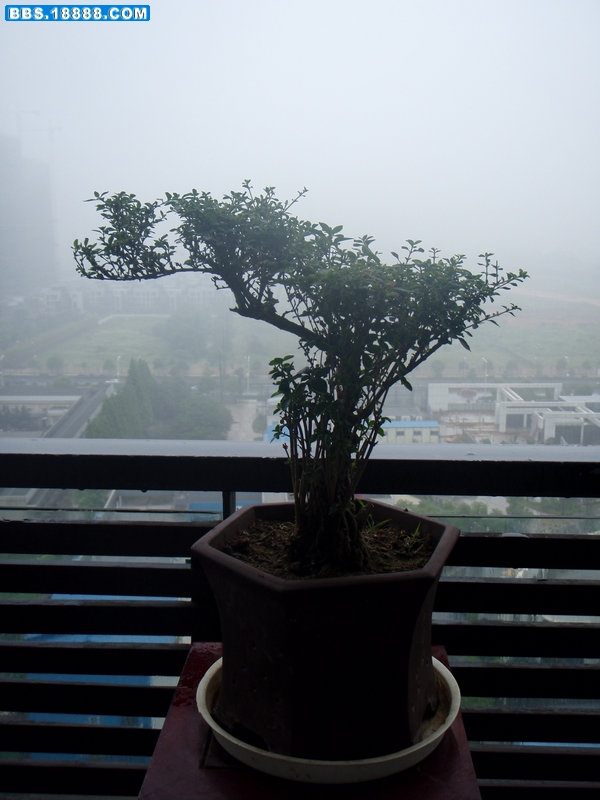 P1010027.JPG