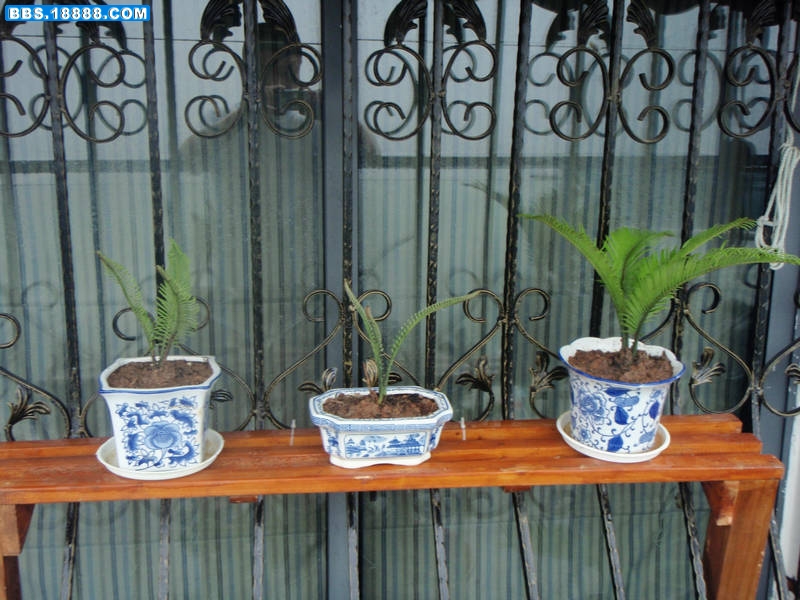 P1010042.JPG