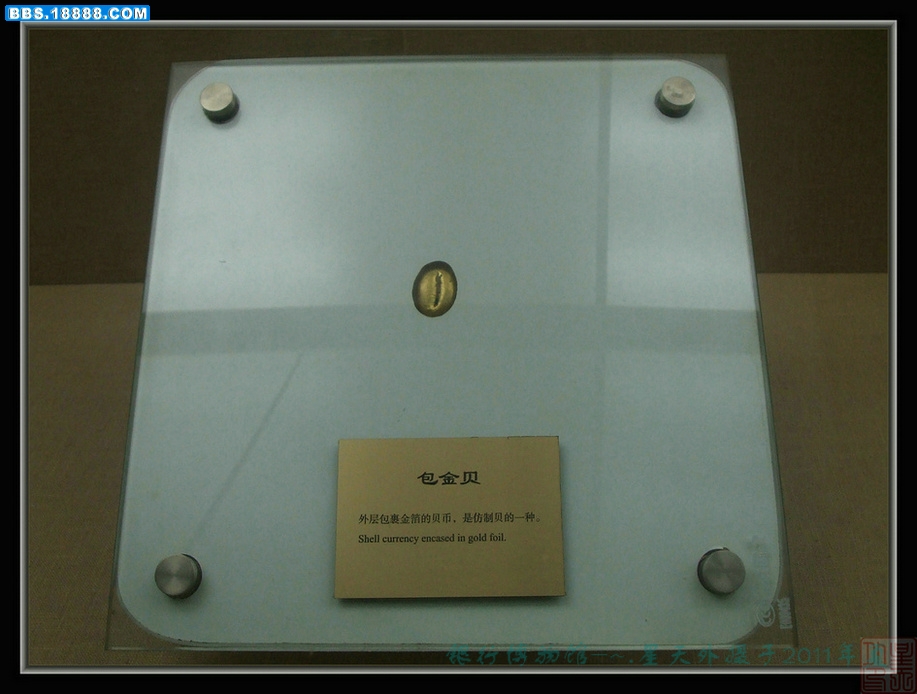 DSCF7881.JPG
