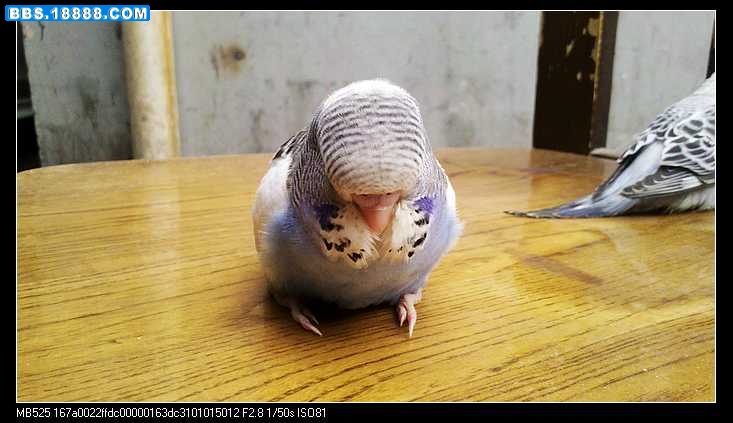 nEO_IMG_2011-06-06_17-35-58_390.jpg