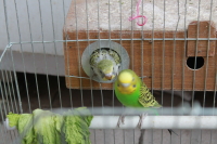 IMG_0001.JPG