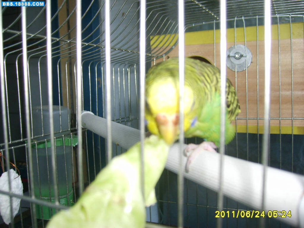 S6000368.JPG