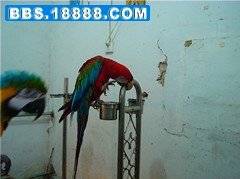 DSC01339_副本_副本.jpg