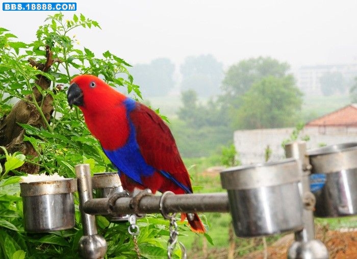 DSC_4843.JPG