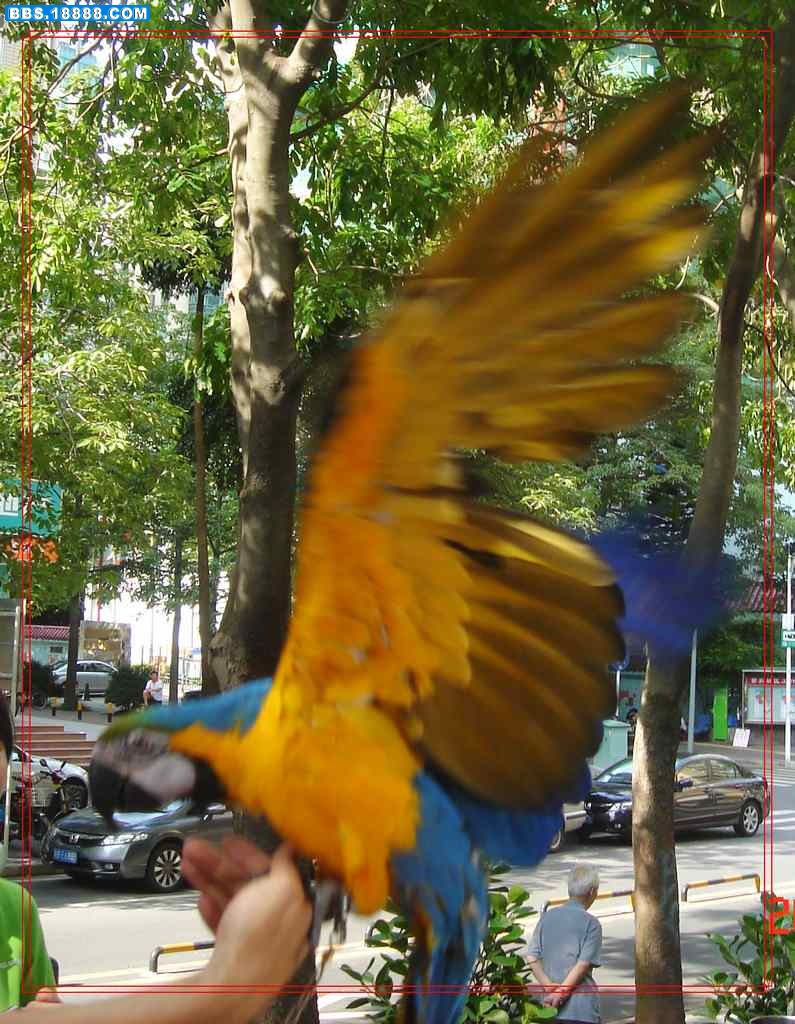 DSC01501.JPG