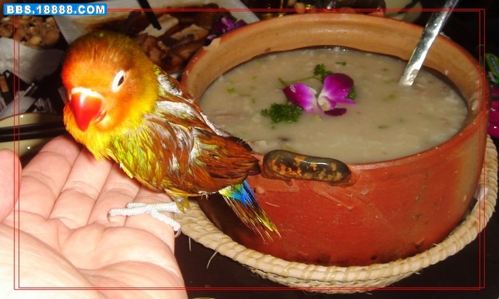 DSC01563.JPG