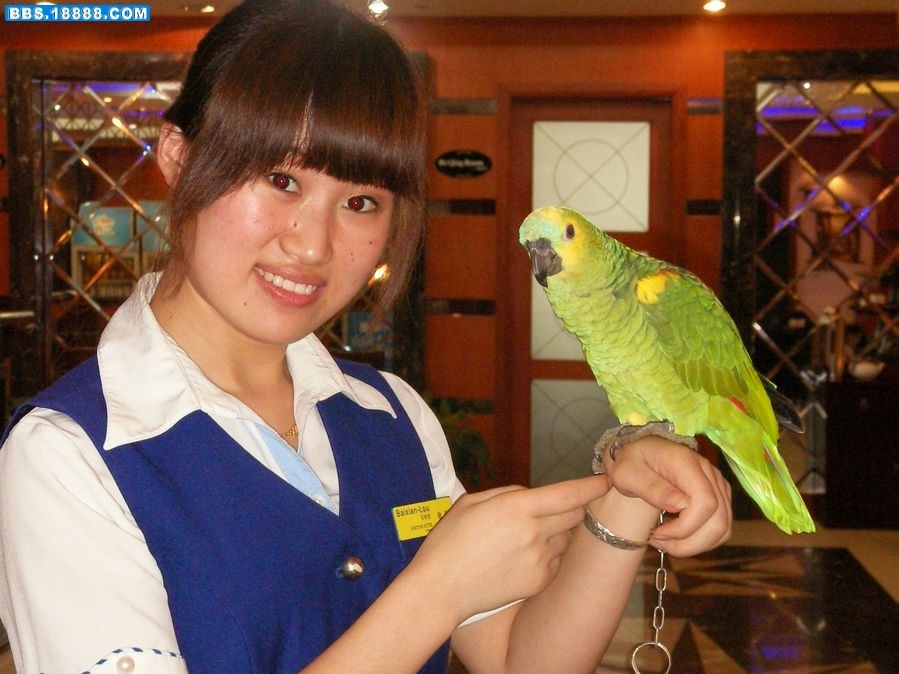 SANY0638.JPG