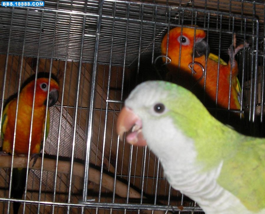 23.jpg