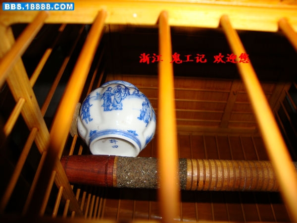 DSC00029.JPG