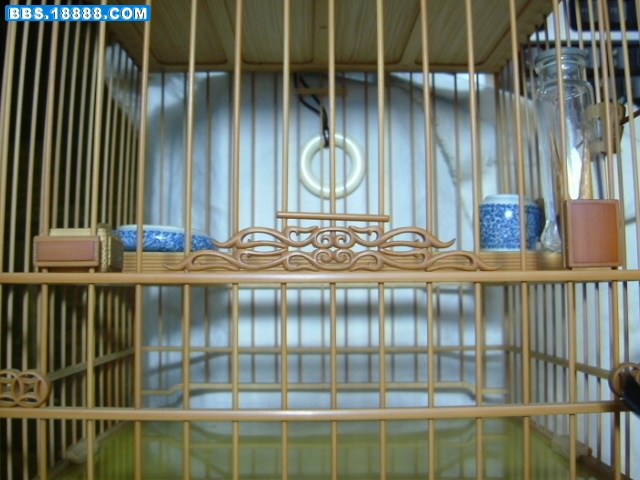 DSCF2910.JPG