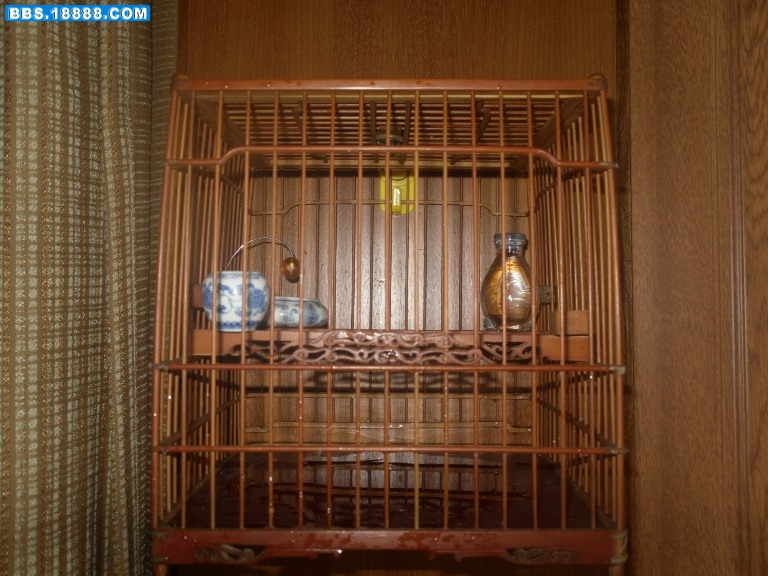 SDC12006.JPG