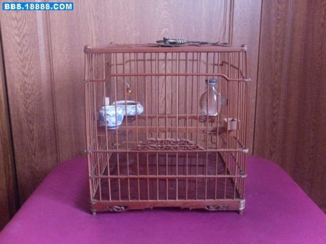 SDC12019.JPG