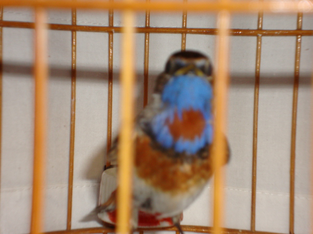 DSC01173.JPG