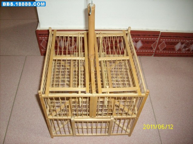 IMG01117.JPG
