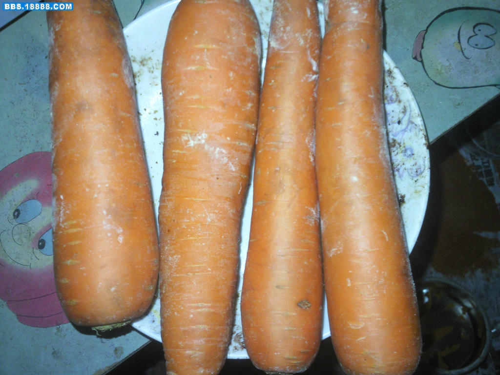 20110531014.jpg