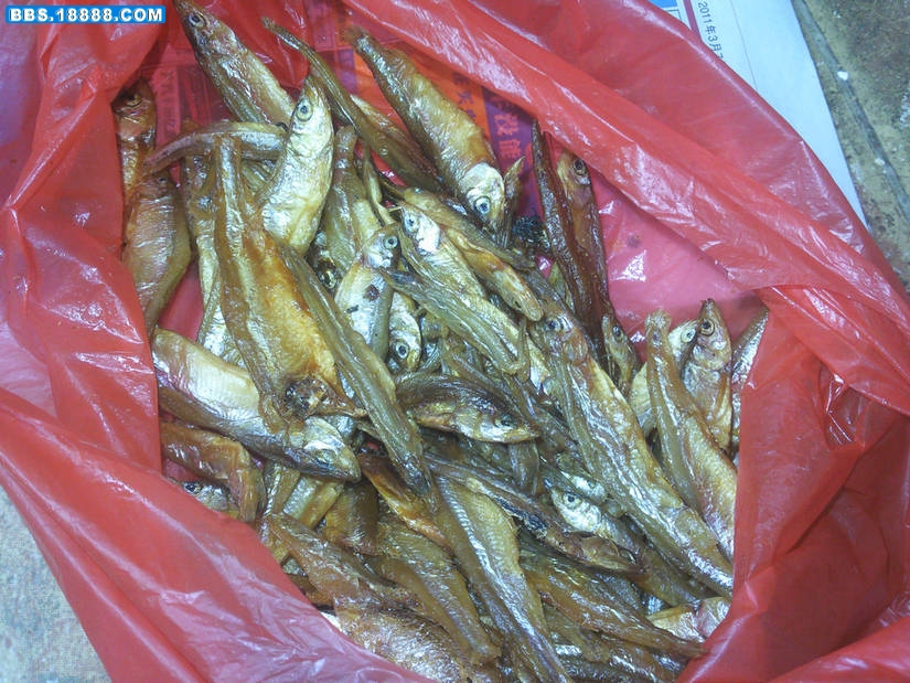 20110531005.jpg