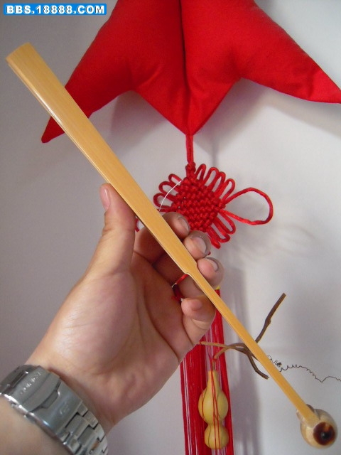 DSCN4824.jpg