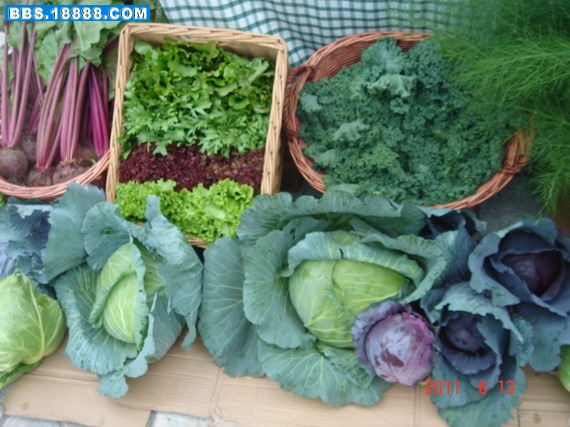 DSC09103_缩小大小.JPG