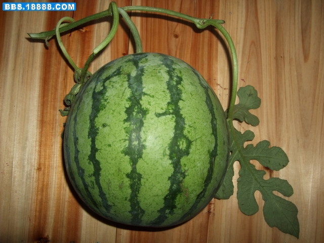 DSCF7163.jpg