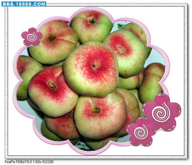 DSCF7576.jpg