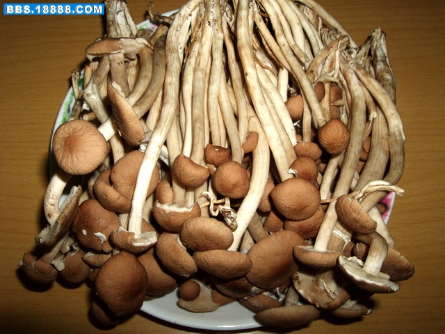 DSCF7584.jpg