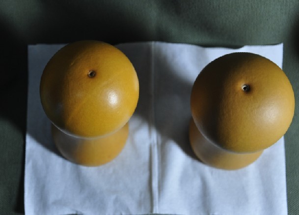 未命名.jpg