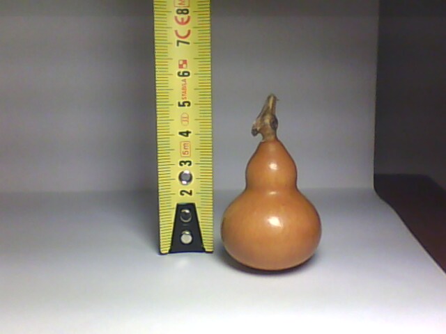IMG0172A.jpg