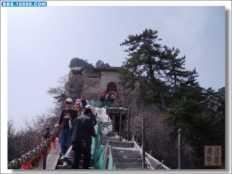 DSCF6239.jpg