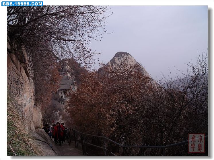 DSCF6196.jpg