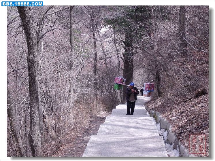 DSCF6295.jpg