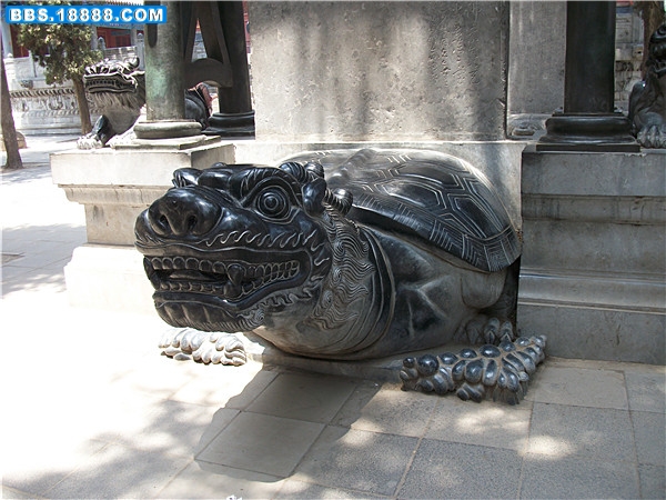 50_副本.jpg