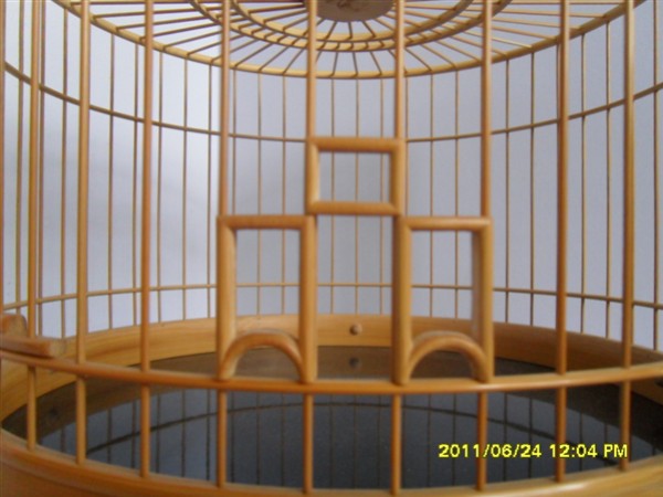 SDC14245_副本.jpg