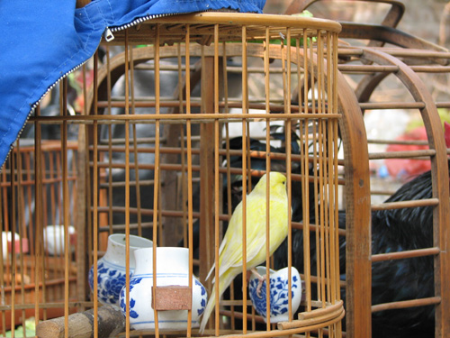 IMG_2139 副本.jpg