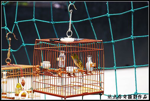 DSC_1059.jpg