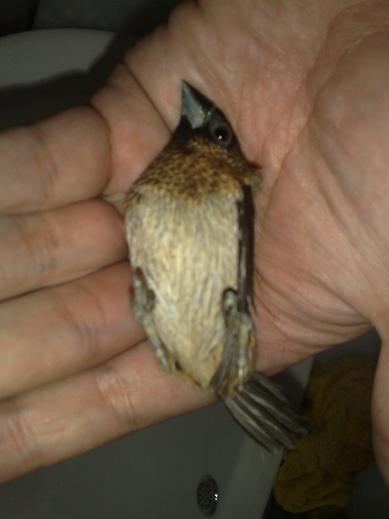 20110613591.jpg