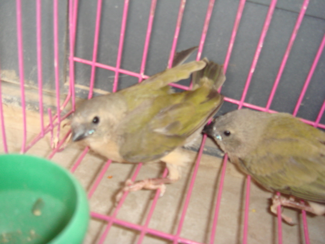DSC04416.JPG