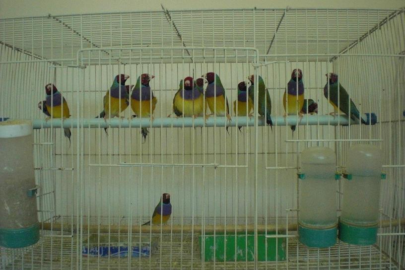 14.JPG